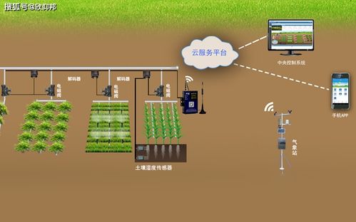 草莓移動式栽培裝置 智能農業的創新實踐